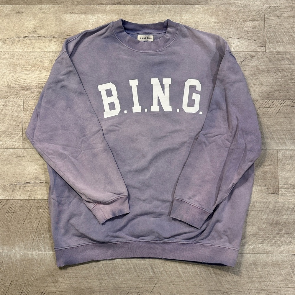 Anine Bing Lilac Hoodie